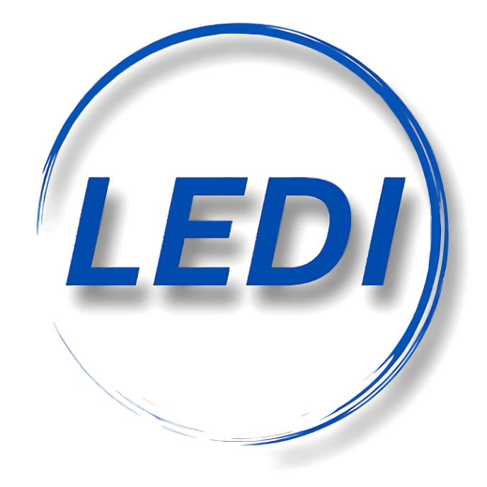 LEDI LOGO-2